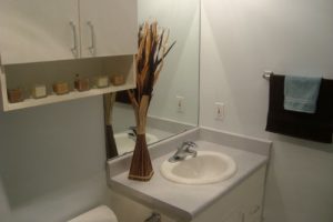 HatcheryHillApartments_Bathroom Model 4