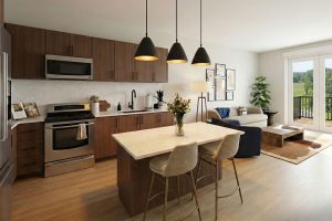 INTERIOR_UNIT-KITCHEN_202604131-088922952eb8eb52ff8167e0072ef9c9