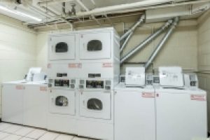 InteriorPhoto-32.jpg-nggid0251-ngg0dyn-200x140x100-00f0w010c011r110f110r010t010