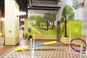 The-Grand-Wisconsin-001-Apartments