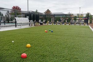 alta lawn game