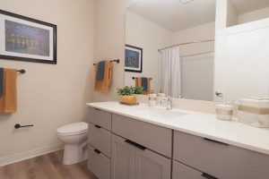 alta model bathroom